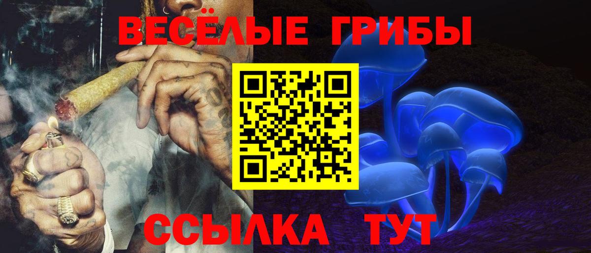 Курганинск  Псилоцибиновые грибы прущие грибы  где продают   Псилоцибиновые грибы Psilocybine cubensis  Вход с VPN 